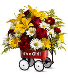 Baby's First Wagon - Girl  from Mona's Floral Creations, local florist in Tampa, FL