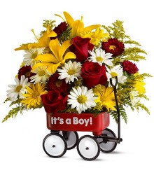 Baby's First Wagon - Boy from Mona's Floral Creations, local florist in Tampa, FL